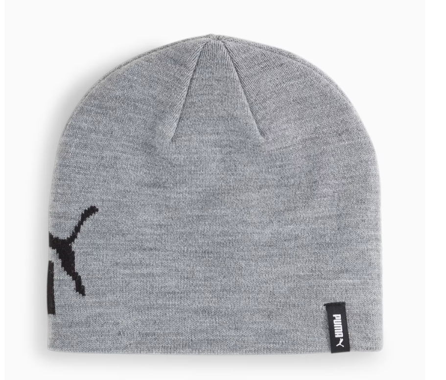 ESS Cuffless Beanie (Grey)