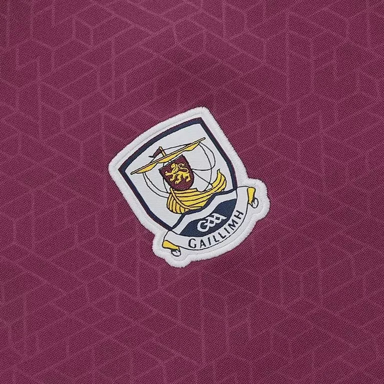 Adults Galway Hydra Tech Fleece Hoodie (Maroon/Marine/White)