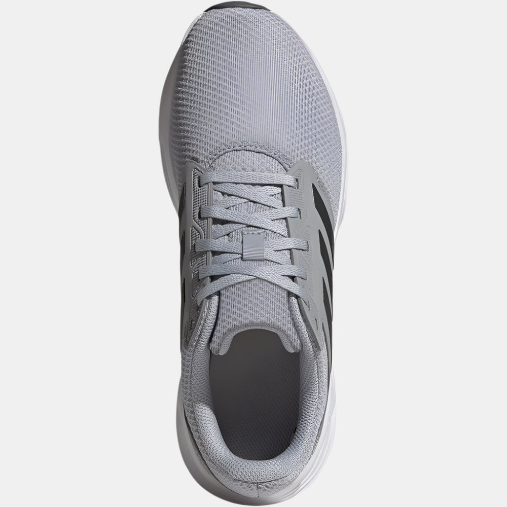 Mens Galaxy 6 M (Halo Silver / Carbon / Cloud White)