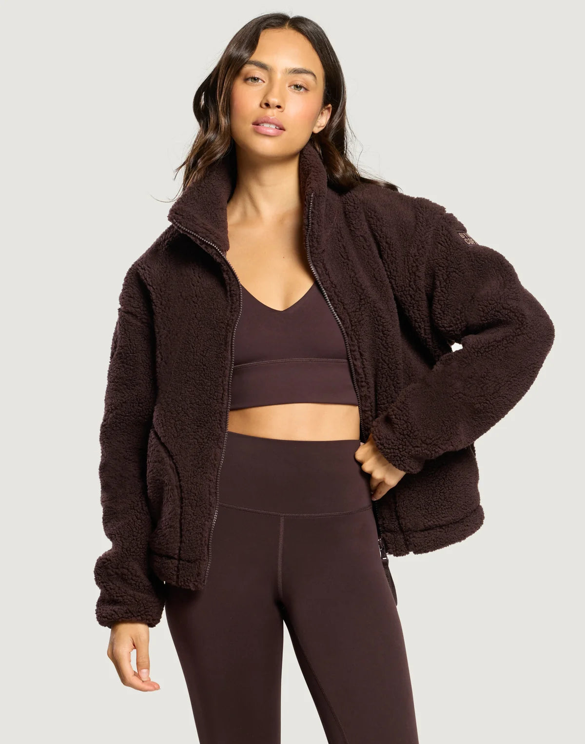 Womens Industry Fleece High Collar Full Zip Jacket (Mocha Bean)