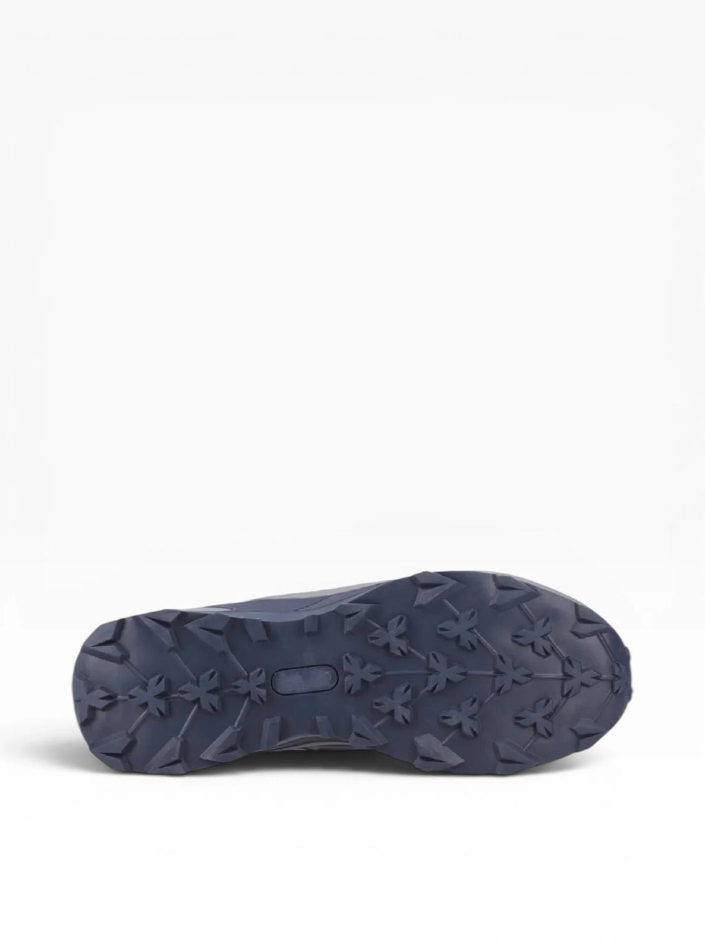 Mens Horton Waterproof Low Hiking Shoe (Navy)