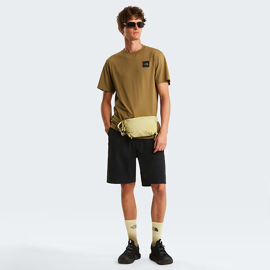 Mens Evolution Box Half Dome Regular T-Shirt (Cedar)