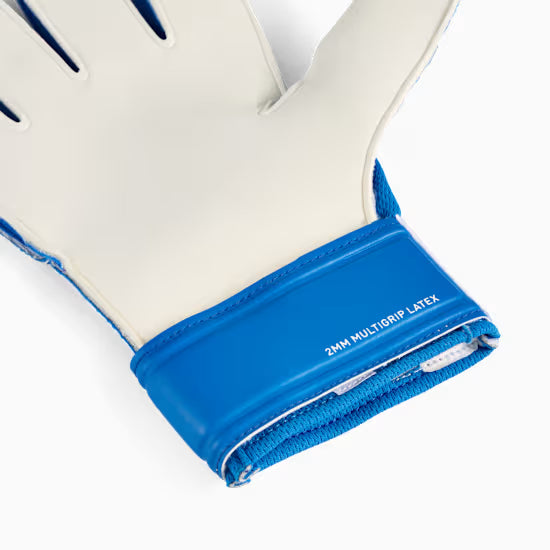 PUMA ULTRA Play Goalkeeper Gloves (Blue)