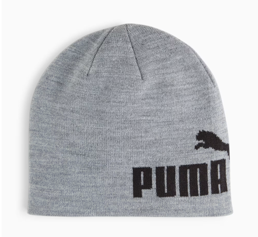 ESS Cuffless Beanie (Grey)