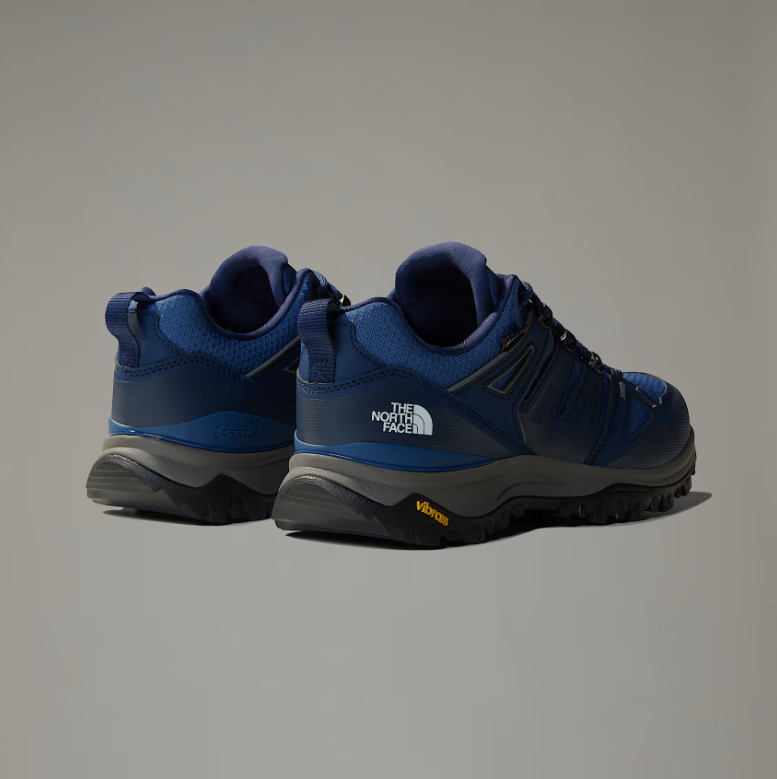 Mens Hedgehog GTX Hiking Shoes (Shady Blue)