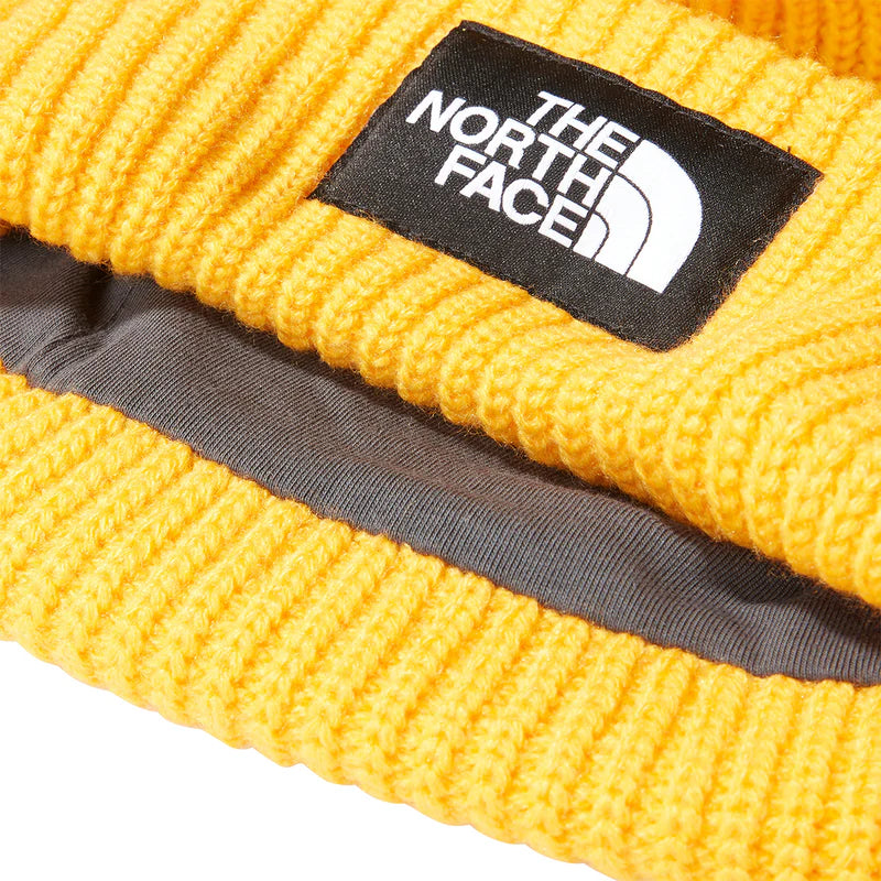 Salty Lined Beanie (Summit Gold)