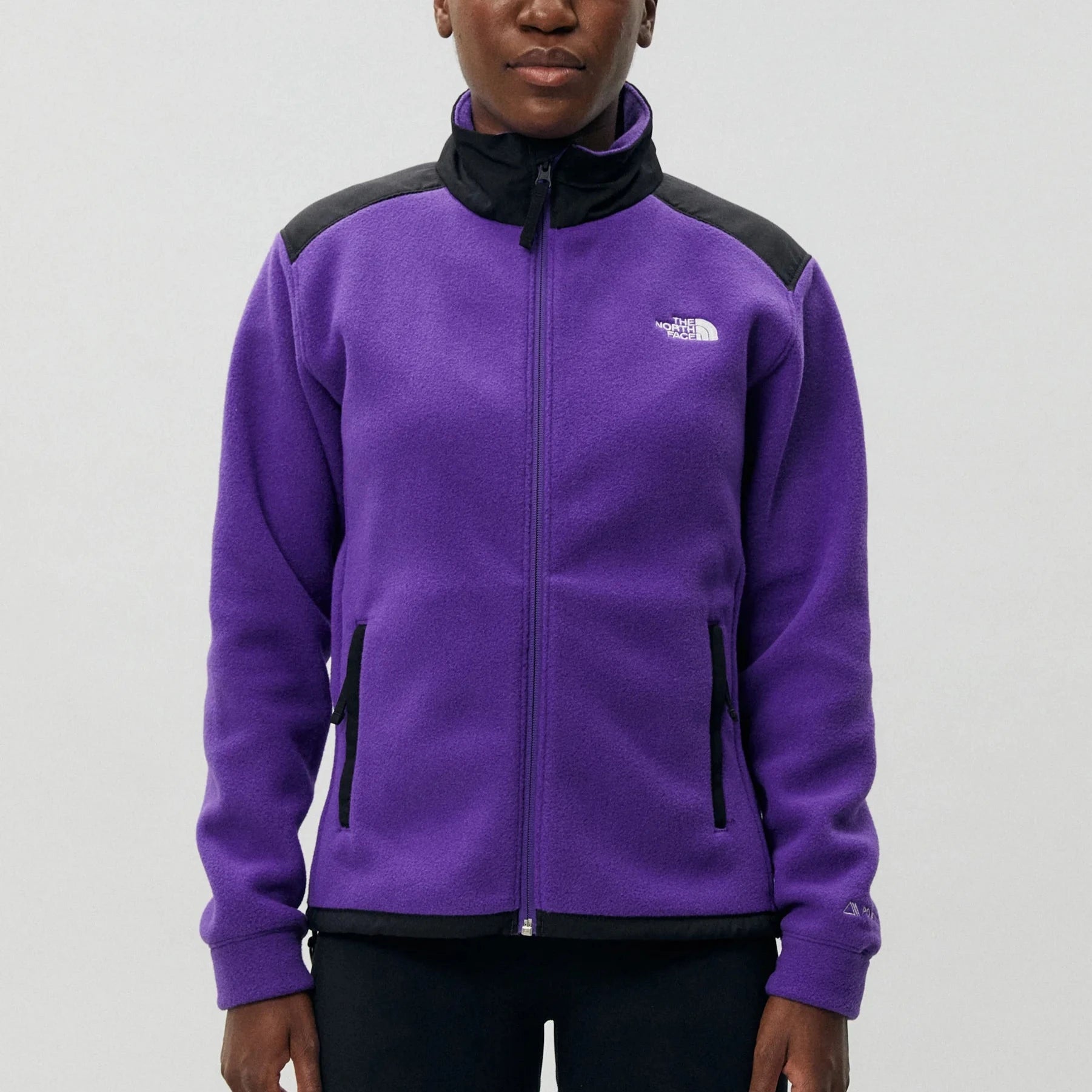 Womens Alpine Polartec 200 Full Zip Fleece (Peak Purple/TNF Black)