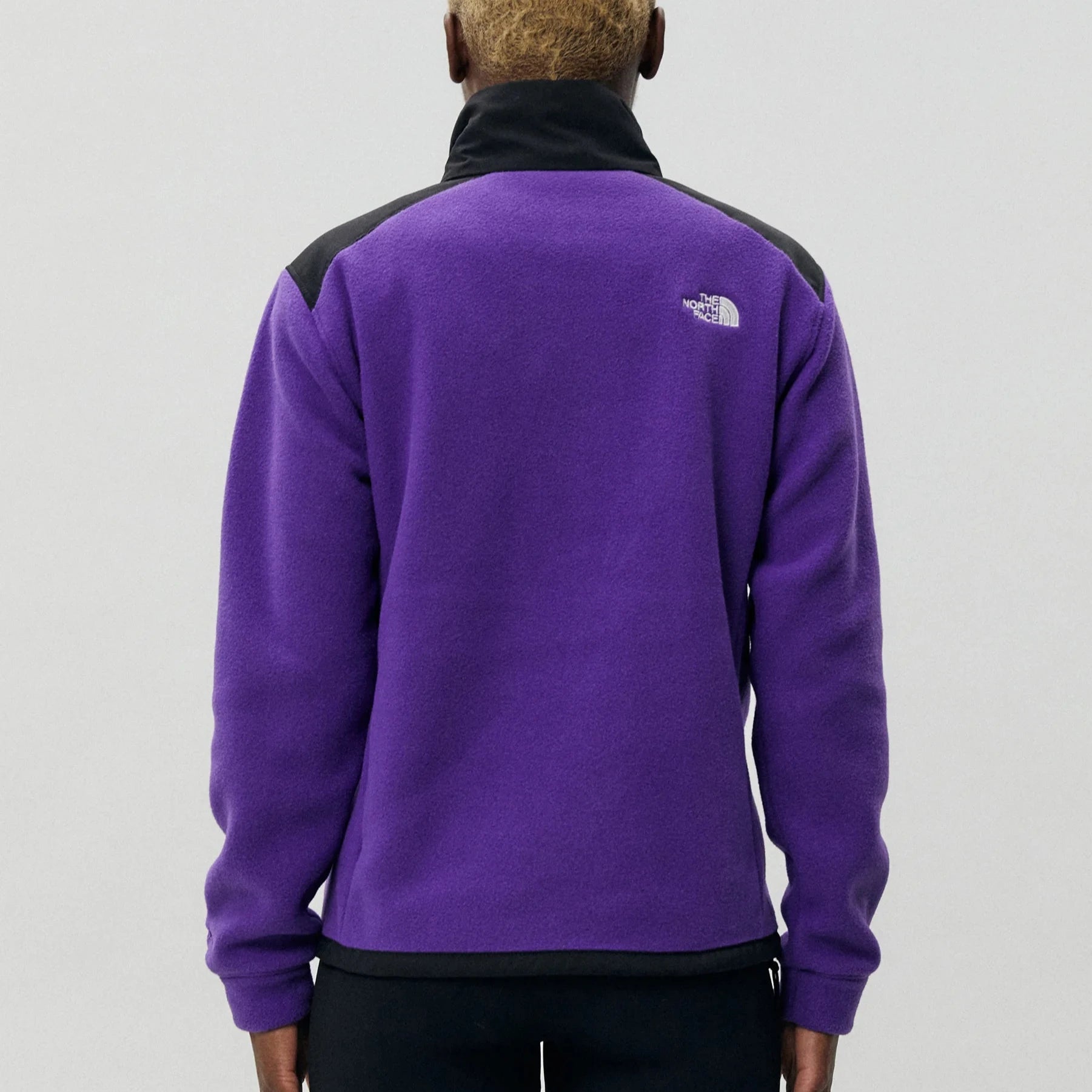 Womens Alpine Polartec 200 Full Zip Fleece (Peak Purple/TNF Black)