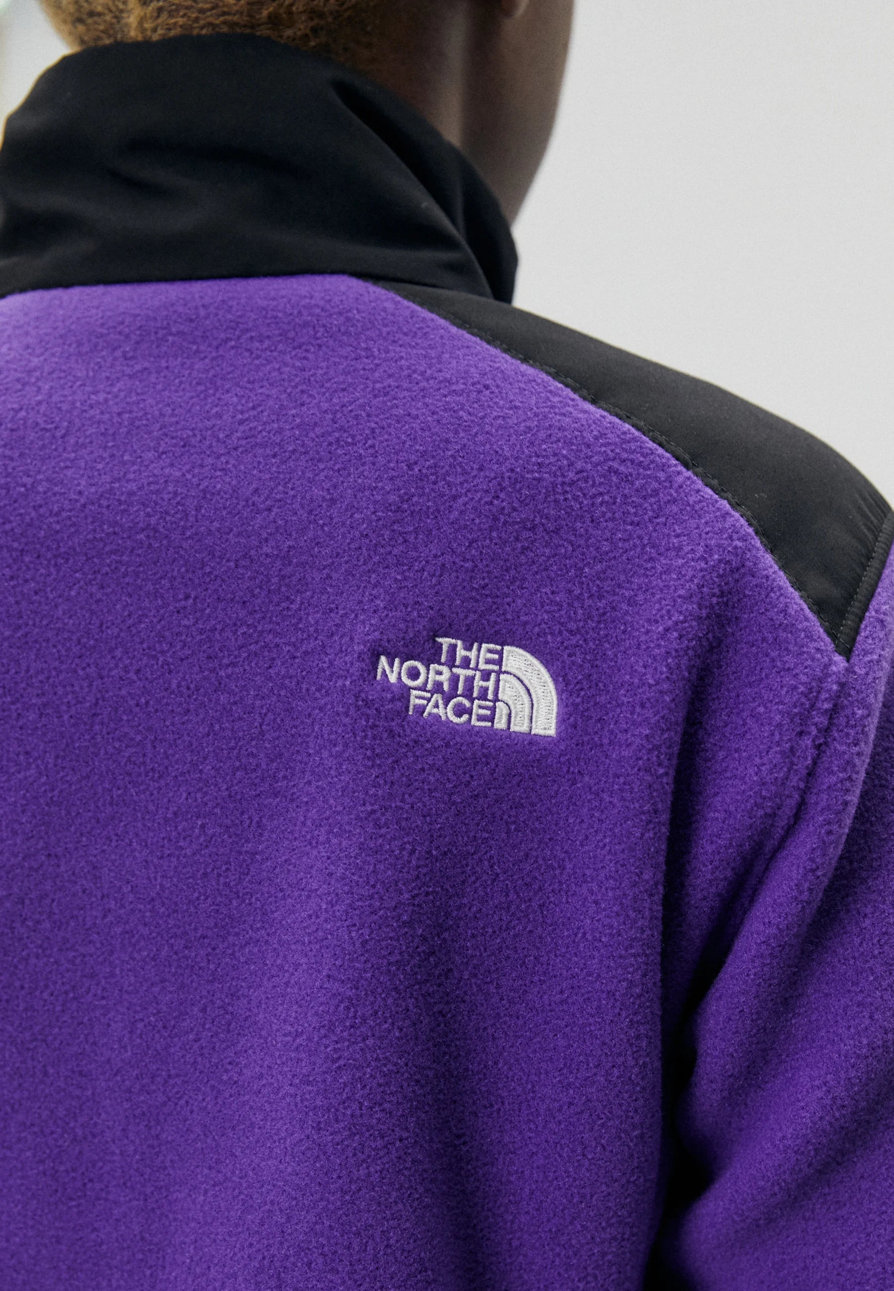 Womens Alpine Polartec 200 Full Zip Fleece (Peak Purple/TNF Black)