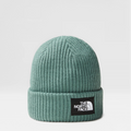 Salty Lined Beanie (Dark Sage)