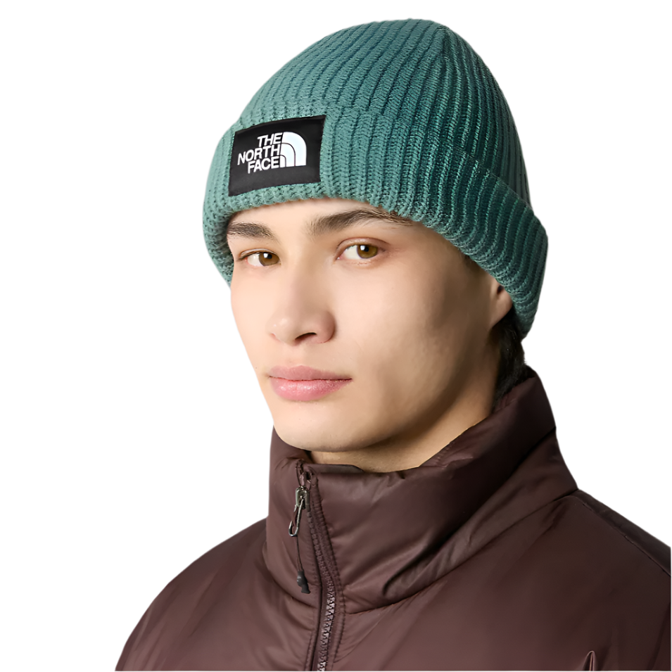 Salty Lined Beanie (Dark Sage)